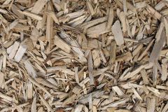biomass boilers Brasted